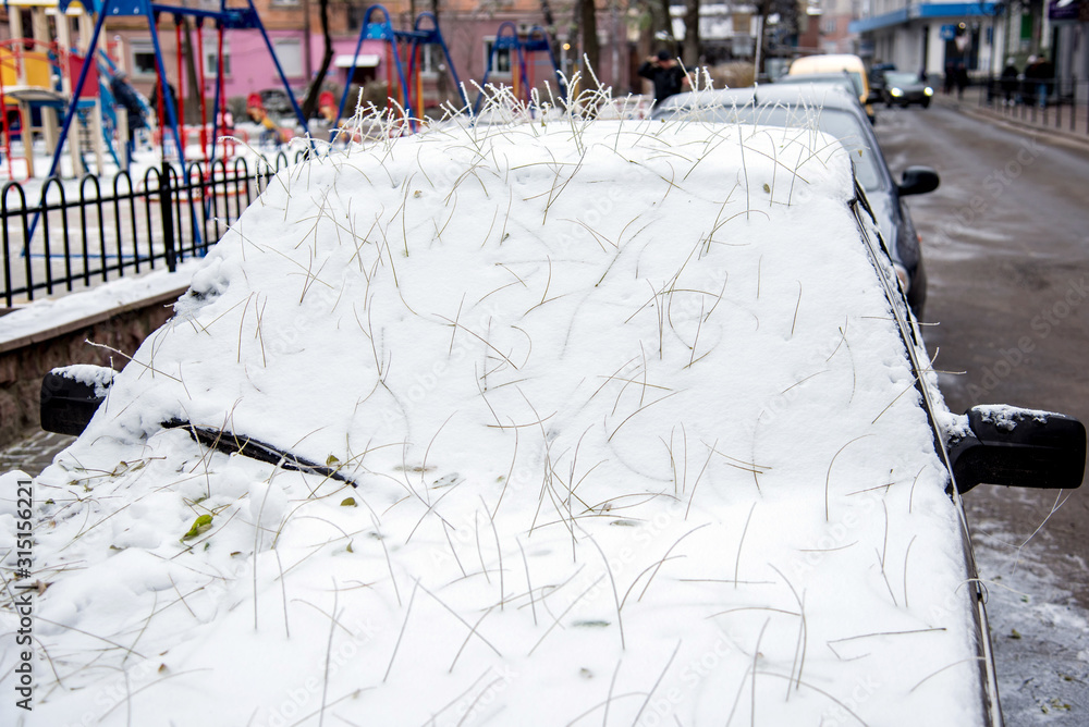 The car is covered with snow and a mysterious hairstyle from the hairdresser's nature from the roots of fallen leaves