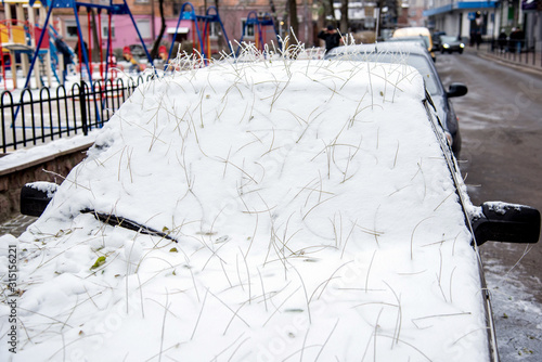 Obraz na płótnie The car is covered with snow and a mysterious hairstyle from the hairdresser's nature from the roots of fallen leaves w salonie