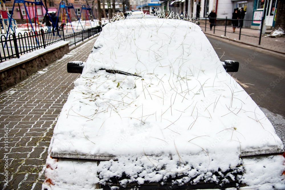The car is covered with snow and a mysterious hairstyle from the hairdresser's nature from the roots of fallen leaves