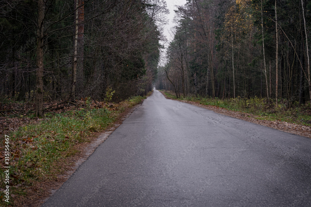 Obraz premium Green City