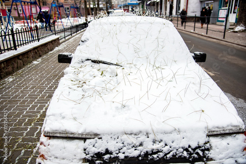 Obraz na płótnie The car is covered with snow and a mysterious hairstyle from the hairdresser's nature from the roots of fallen leaves w salonie
