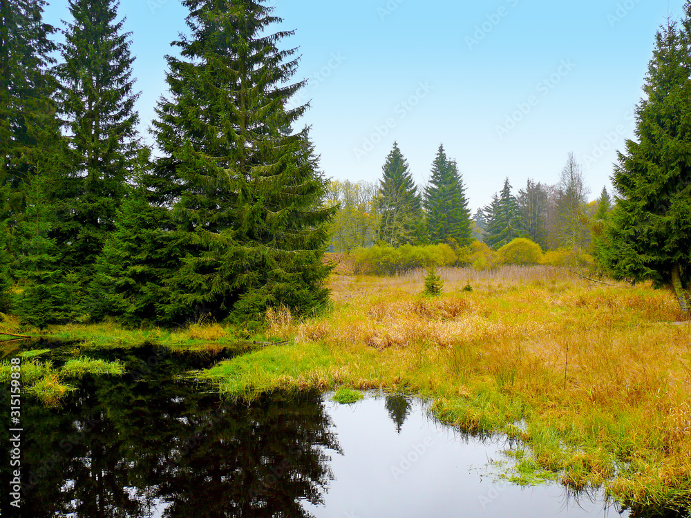 The pond in the national reservation Kladska near Horni Slavkov. There are moss and swamps. There is a nature trail through the marshes. It is situated in Czech rebulic. The pond in the national reservation Kladska near Horni Slavkov. There are moss and swamps. There is a nature trail through the marshes. It is situated in Czech rebulic.
