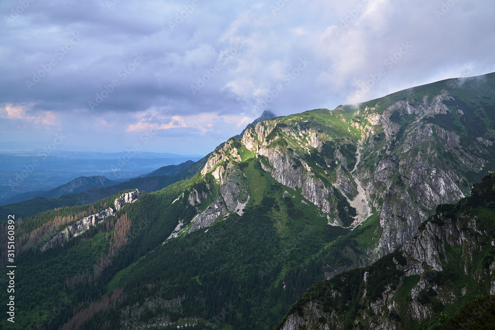 A mountain slope with a mountain pine and limestone rocks in the mountains Tatry in Poland..