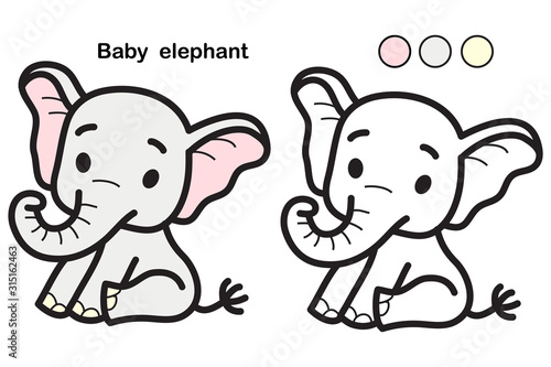 Photography Colorful Happy elephant coloring for children