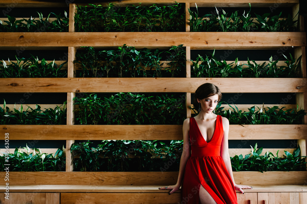 Brunette girl in evening red dress for graduation. On background wooden of shelves with green leaves, pot. Party. Beautiful European girl in long dress is standing in restaurant. makeup