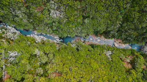 Aerial drone view looking water stream running through the tall trees of the forest in  Paul da Serra   Madeira island  Portugal