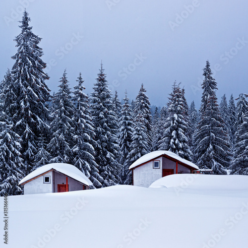 Splendid scenery in winter. Snow-cowered pine trees with cabana. Fantastic mountain highland. Amazing winter background. Wonderful Christmas Scene
