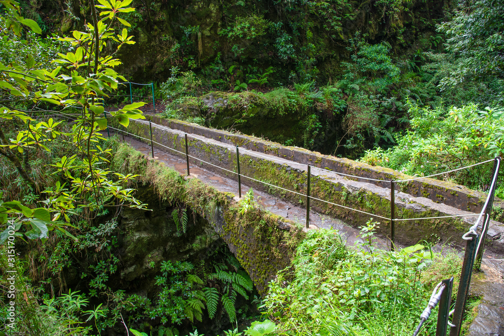 Obraz premium Hiking path on the Levada do Caldeirao Verde near Santana on the island of Madeira in Portugal.