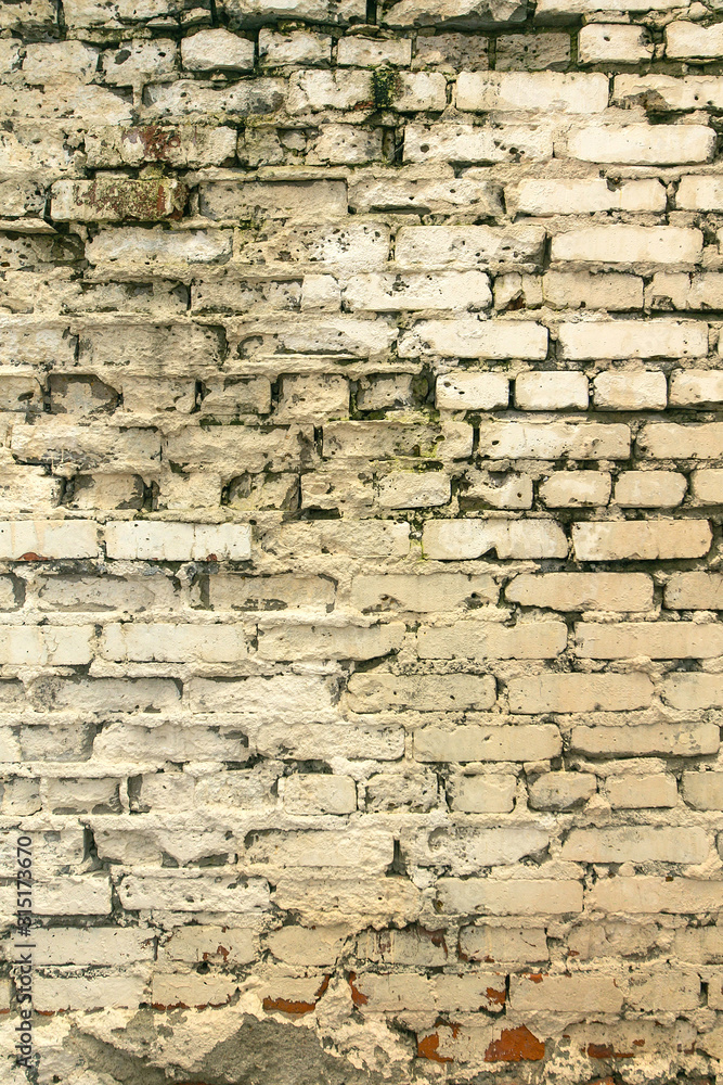 Fototapeta premium old beige brick textured wall