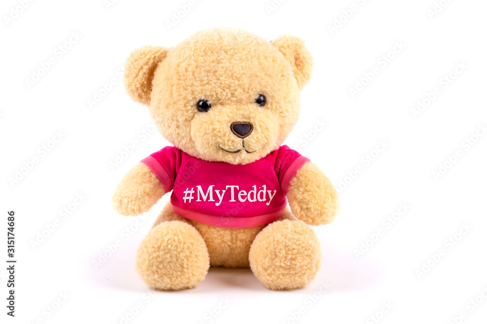 soft toy white background teddy bear in a pink red sweater soft toy white background teddy bear in a pink red sweater