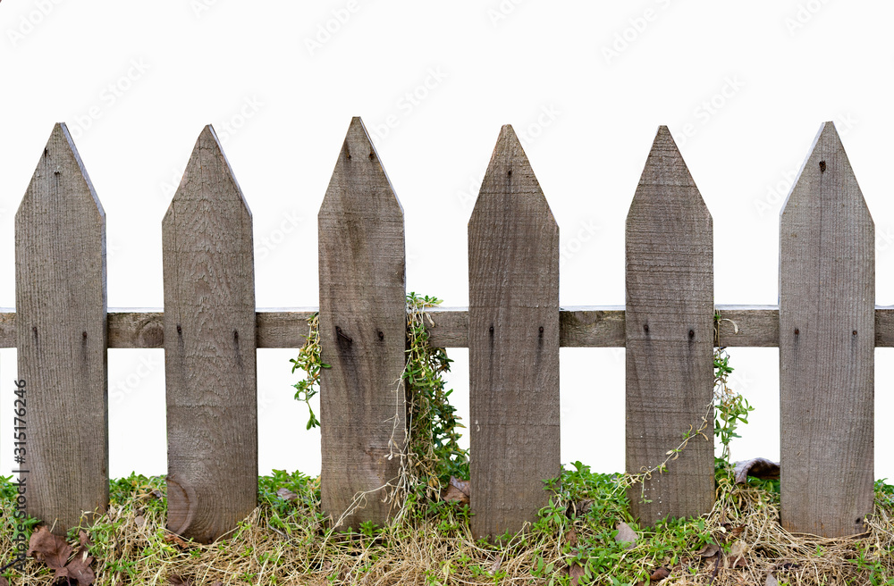 Naklejka premium Isolated old wooden fence with plants foreground, white background