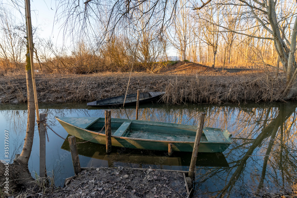Fototapeta premium Typical wooden boats of the wetland known as Padule di Fucecchio, Porto delle Morette, Tuscany, Italy