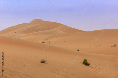 sand dunes in Abu Dhabi desert © porojnicu
