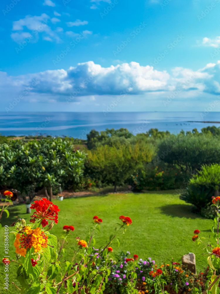 View to sea and sky with red flowers in the front in Sardinia, Italy