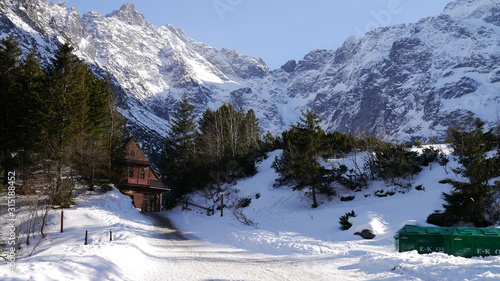 Górska panorama, widok na zaśnieżone szczyty gór, skały i las
