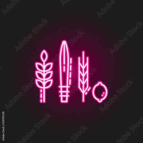Four Species neon style icon. Simple thin line, outline vector of judaism icons for ui and ux, website or mobile application