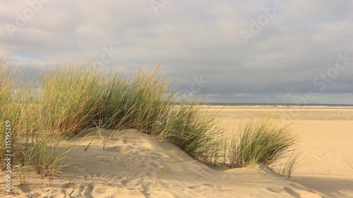 Dünen und Strand bei Ouddorp