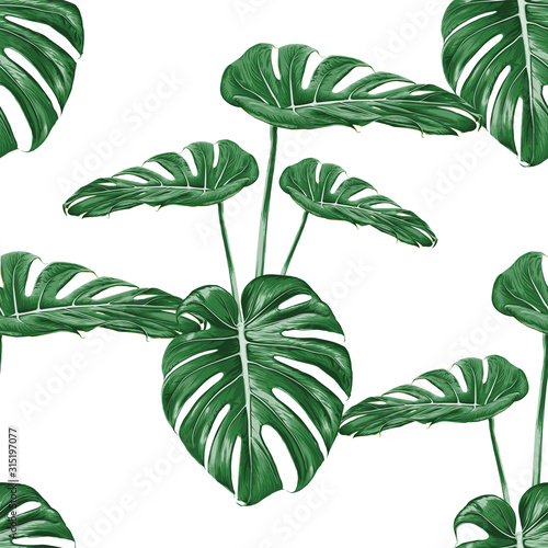 Seamless pattern monstera green leaf on isolated white background.Vector illustration dry watercolor hand drawing stlye.Fabric design texitle