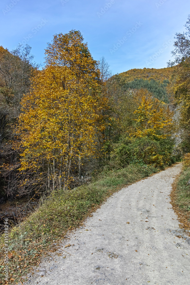 Struilitsa eco path at Devin river gorge, Rhodope Mountains