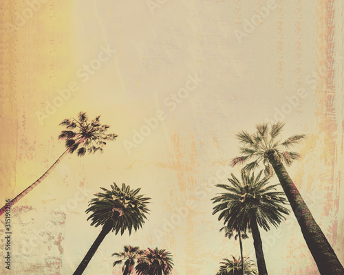 Palm tree vintage style background