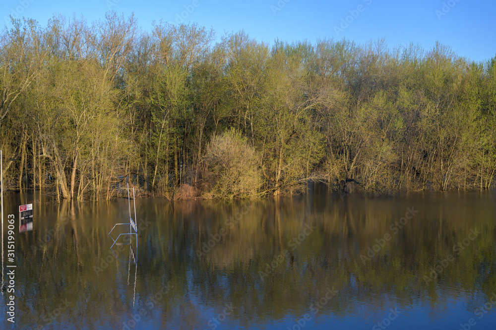 football field next to a forest flooded by rain water football field next to a forest flooded by rain water
