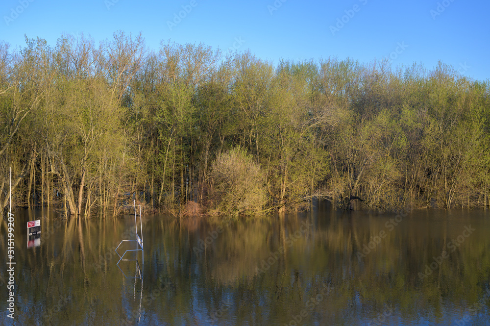 football field next to a forest flooded by rain water football field next to a forest flooded by rain water