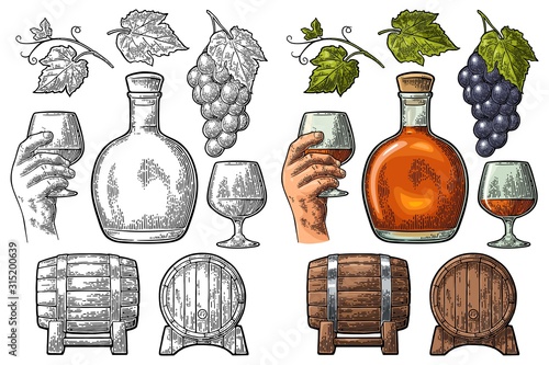 Glass, barrel and bottle of cognac. Vintage engraving illustration