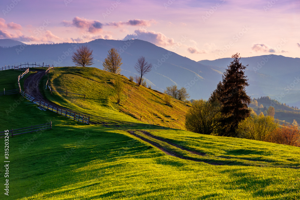 mountainous rural landscape in evening light. wooden fence along the path through rolling hills in fresh green grass. beautiful scenery in springtime. purple clouds on the sky - obrazy, fototapety, plakaty 