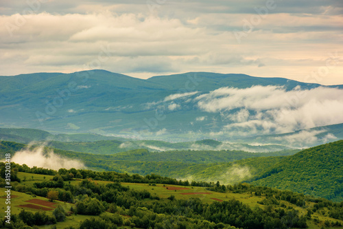 clouds rising above the hills. mountainous countryside of carpathians. fog evaporate from the green forest just after it rains. overcast windy sunrise in springtime.