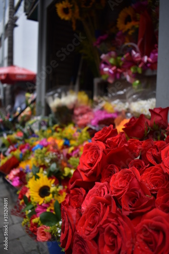 Wallpaper Mural flores Torontodigital.ca