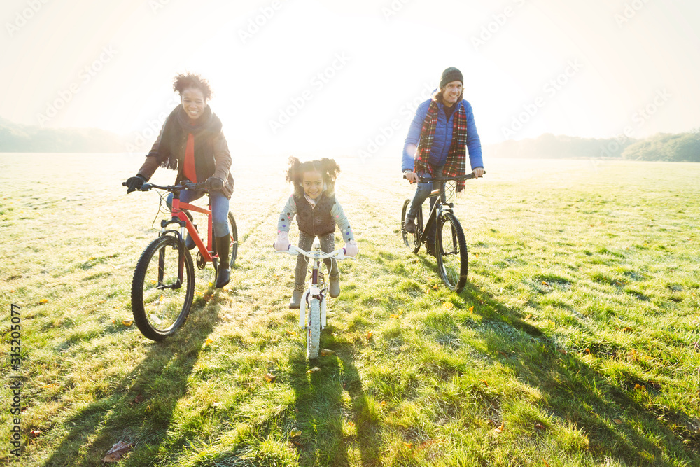 Portrait young family bike riding in sunny autumn park grass