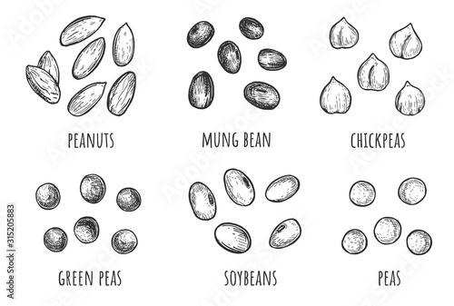 Piles of beans seeds set