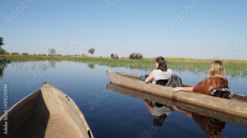Canvas Print Wild Elephants seen on a river during a canoe safari in the Moremi Game Reserve