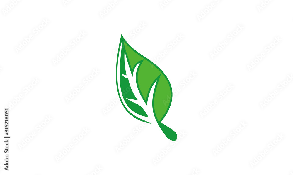 leaf vector icon leaf vector icon