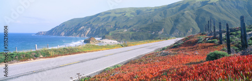 Spring, Route 1, California Coast photo