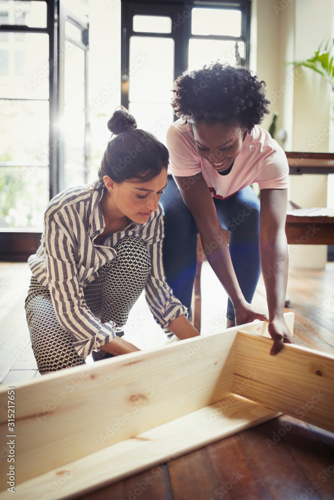 Women assembling furniture Women assembling furniture