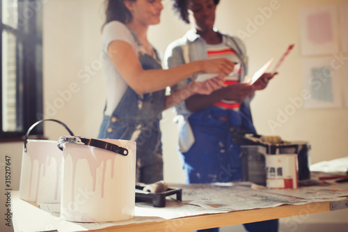 Women viewing paint swatches, painting living room