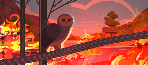 owl bird escaping from fires in australia animals dying in wildfire bushfire natural disaster concept intense orange flames horizontal vector illustration