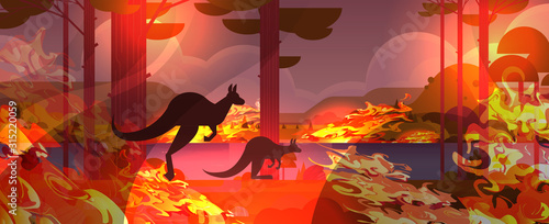 kangaroo running from forest fires in australia animals dying in wildfire bush fire burning trees natural disaster concept intense orange flames horizontal vector illustration