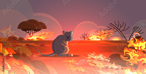 numbat escaping from fires in australia animals dying in wildfire bushfire natural disaster concept intense orange flames horizontal vector illustration