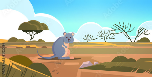 quokka enjoying the sun in australia desert australian wild animal wildlife fauna concept landscape background horizontal vector illustration