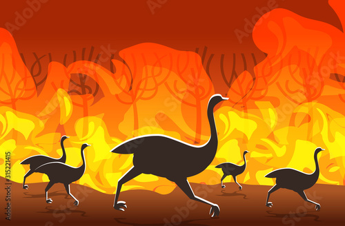 ostriches running from forest fires in australia animals dying in wildfire bushfire burning trees natural disaster concept intense orange flames horizontal vector illustration