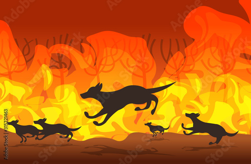 dingo running from forest fires in australia animals dying in wildfire bushfire burning trees natural disaster concept intense orange flames horizontal vector illustration