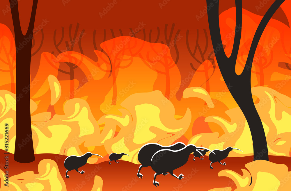 kiwi silhouettes running from forest fires in australia animals dying in  wildfire bushfire burning trees natural disaster concept intense orange  flames horizontal vector illustration Stock Vector | Adobe Stock