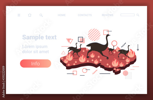 map of Australia with ostriches running from bushfire endangered animals dying in wildfire natural disaster concept intense orange flames copy space horizontal vector illustration