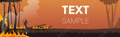 dangerous wildfire bush fire development dry woods burning trees global warming natural disaster ecology problem concept intense orange flames horizontal copy space vector illustration