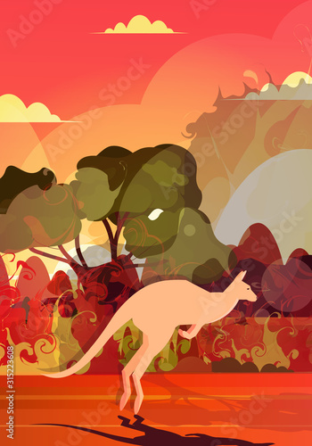 kangaroo running from forest fires in australia animals dying in wildfire bushfire burning trees natural disaster concept intense orange flames vertical vector illustration