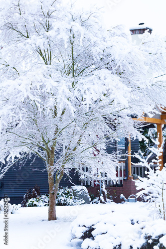 Winter Landscape with Trees and House