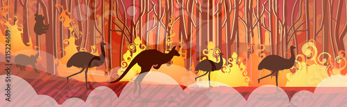 australian animals silhouettes running from forest fires in australia wildfire bushfire burning trees natural disaster concept intense orange flames horizontal vector illustration