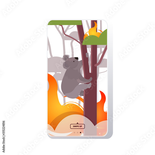 koala climbing tree forest fires in australia animals dying in wildfire bushfire natural disaster concept intense orange flames smartphone screen mobile app vector illustration